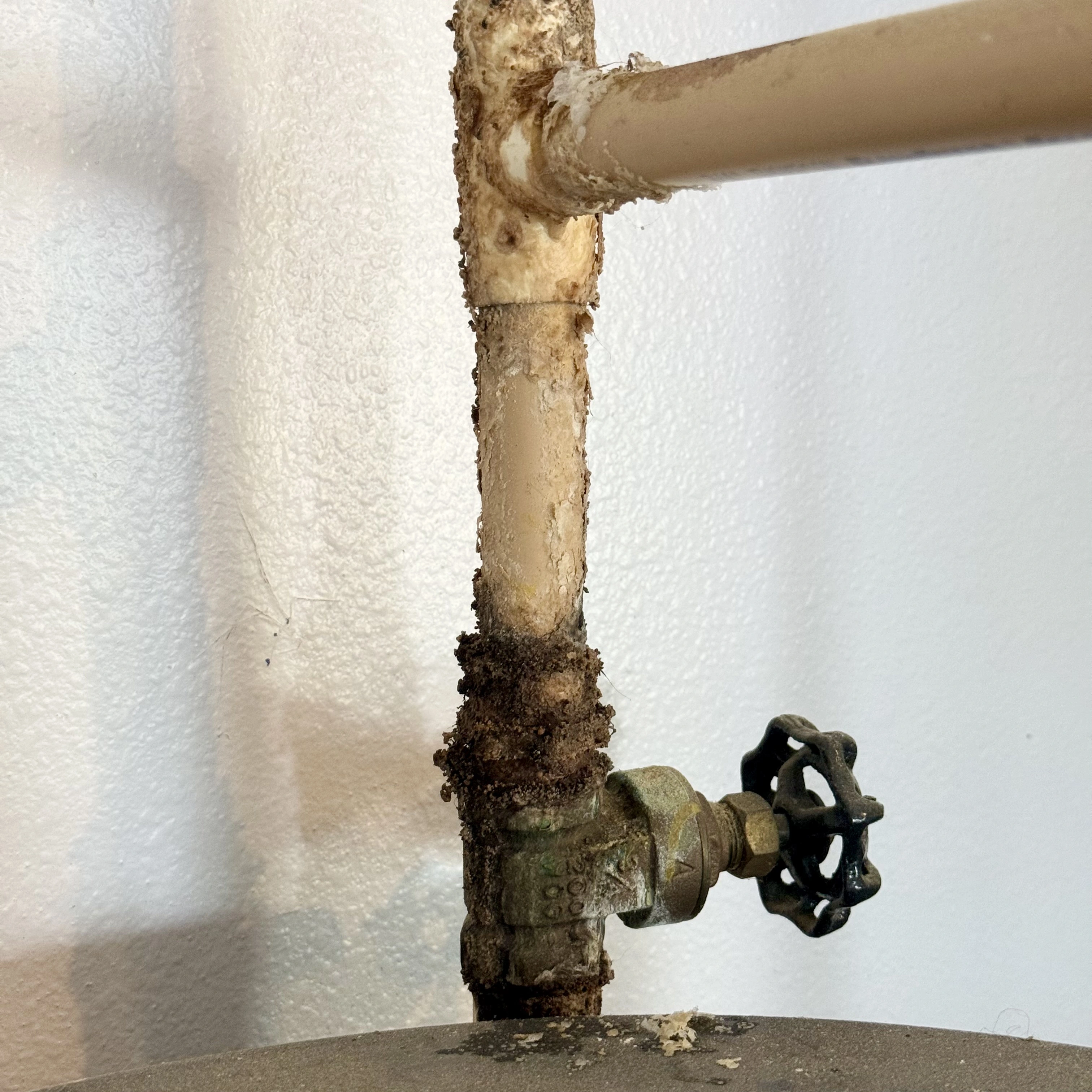 Hard-water mineral buildup near a water heater connection